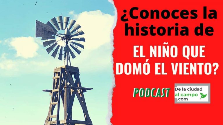 ¿Conoces la historia de El niño que domó el viento? - De la ciudad al campo